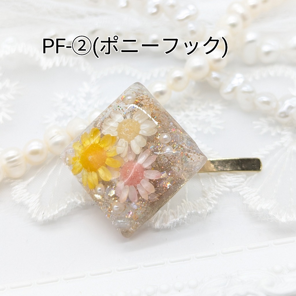 PF-②(ポニーフック)